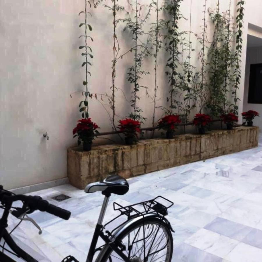Estudio En Pleno Centro De Sevilla By Msholidays Kültér fotó